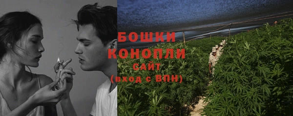 стафф Осинники