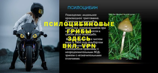 mix Алексин
