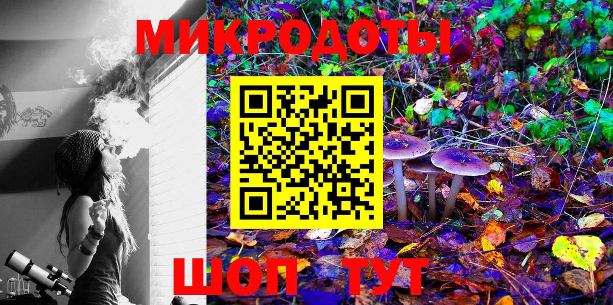 наркошоп  Псилоцибиновые грибы Magic Shrooms  Вход с VPN  Махачкала 