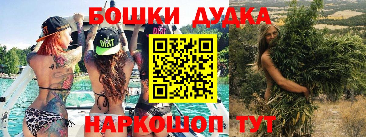 Бошки марихуана конопля Махачкала